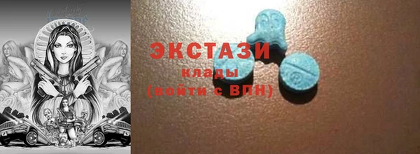 тгк Гусев