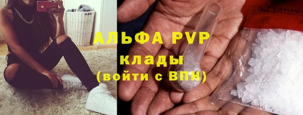 тгк Гусев