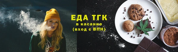 тгк Гусев