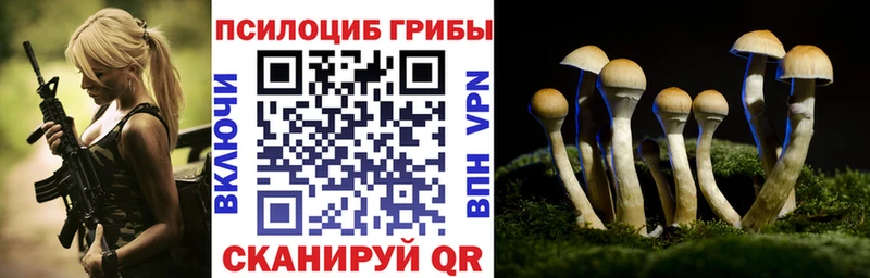 Галлюциногенные грибы мицелий  где купить наркотик  Новая Ладога 